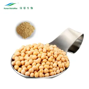 Mẫu miễn phí 40% đậu nành Lecithin bột, đậu nành Lecithin bột, đậu nành chiết xuất bột