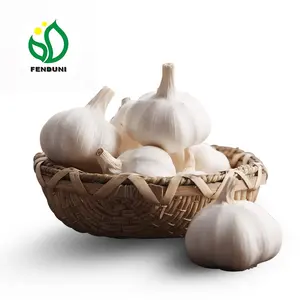 Supply Good Quality Garlic from China/Chinese, New Crop, in loosely Package, Sell for Russia/Georgia Market