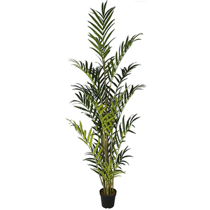2,8 m Madeira palma de alto verde <span class=keywords><strong>Indorr</strong></span> alto decoración de la planta - Product Image 1