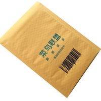 Enveloppe en papier kraft brun avec bulles pour bijoux, taille personnalisée, imprimée A2 A3 A4, emballage d'expédition à bulles