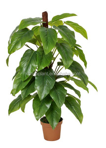 Tipos <span class=keywords><strong>de</strong></span> plantas ornamentales, <span class=keywords><strong>de</strong></span> plástico artificial decoración <span class=keywords><strong>de</strong></span> interior planta árboles - Product Image 5