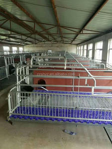Alta calidad 2.1 m/2.4 m * 3.6 m cerdo paridera con precio bajo - Product Image 2