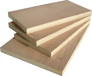 Bintangor madera contrachapada, madera de pino/madera de pino, madera contrachapada de abedul