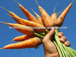 Engrais en phosphore organique pour améliorer la prospérité du sol et de l'humidité, 6 ml - Product Image 3