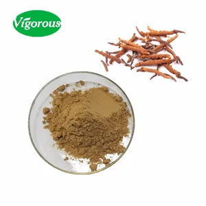 Free samples high quality pure organic yarsagumba extract