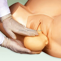 Simulateur de grossesse et d'accouchement, modèle d'entraînement en sage-femme