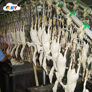 Equipo/Máquina de Matadero <span class=keywords><strong>para</strong></span> Aves de Corral, Precio por Línea - Product Image 5