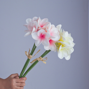 <span class=keywords><strong>PU</strong></span> yapay <span class=keywords><strong>plumeria</strong></span> buket ucuz yapay frangipani çiçekler avustralya yapay <span class=keywords><strong>plumeria</strong></span> çiçekler - Product Image 3