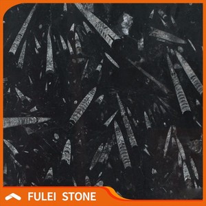 Pulido fósiles mármol negro con vetas blancas precio losas - Product Image 4