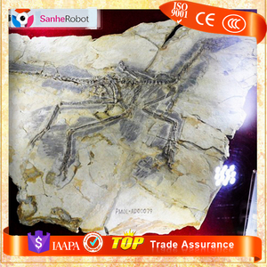 Jurassic Dig Ma-rốc Chìm Skeleton Khủng Long Với Giá Đá Hóa Thạch Cạnh Tranh - Product Image 6