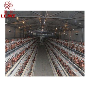 Bon prix, cages à poules de type A à 4 niveaux, cages à poules pondeuses, équipements d'élevage avicole usagés - Product Image 5