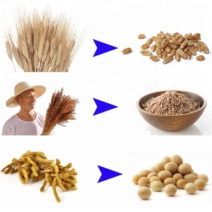Desgranadora Manual Portátil Pequeña para Uso Doméstico, para Arroz/Frijoles/Trigo, Mini Desgranadora <span class=keywords><strong>de</strong></span> Arroz - Product Image 6