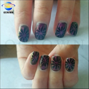 Vendita calda chameleon 3D occhio di gatto magnetico polveri pigmento per la nail art - Product Image 5