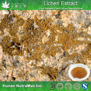 高品質の地衣類エキス、地衣類エキスパウダー、地衣類Usneaエキス (4:1 5:1 10:1) - Product Image 3