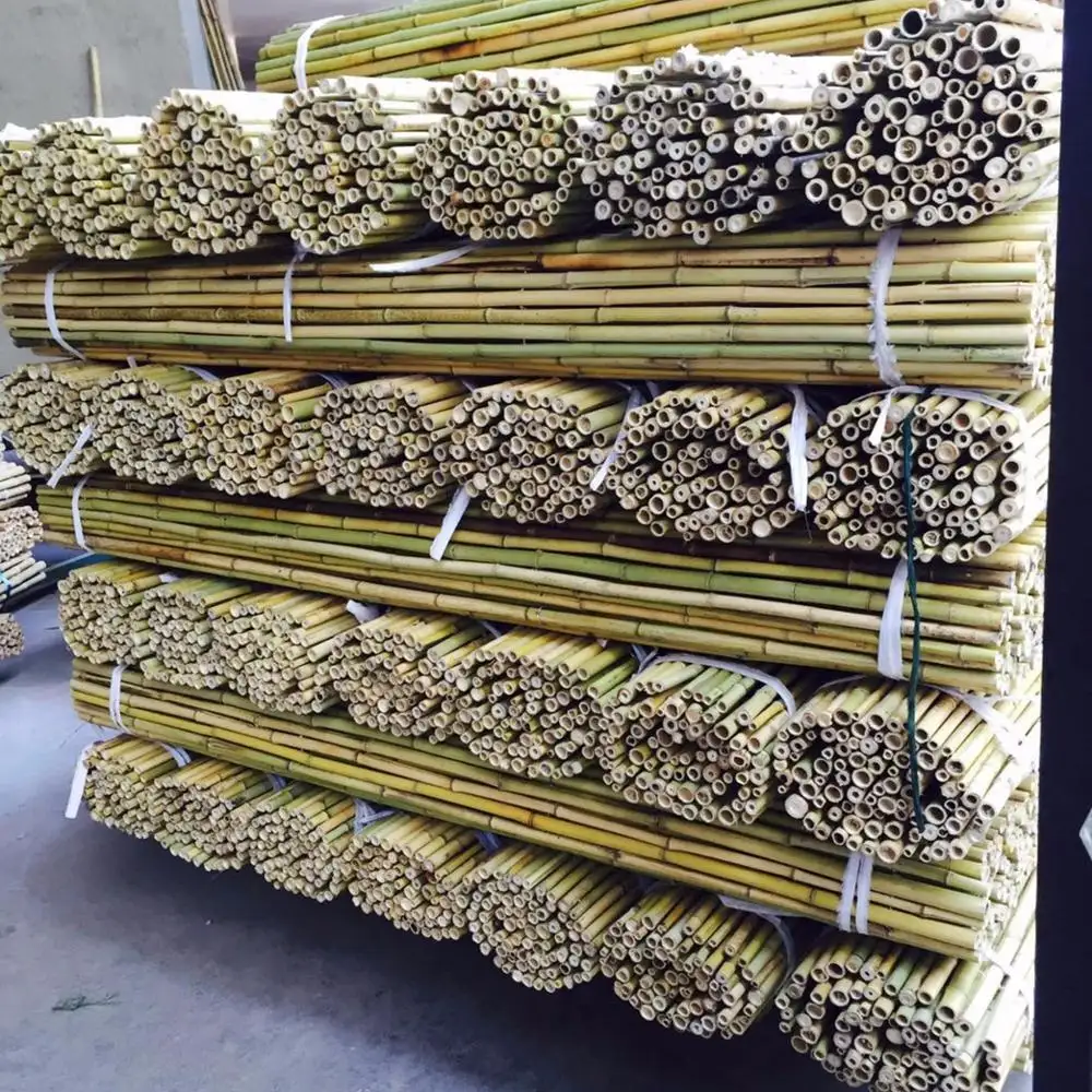 Grosir Cina Harga Terendah Tiang Bambu Lurus dan Berkualitas Tinggi