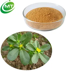 Extrait de baopia monokini naturel, 1 kg, poudre, soins de fabrication d'usine