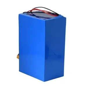 Wiederauf ladbare Lifepo4 Batterie 48V 20ah Batterie Preis Indien 48V 20ah 30ah 50ah 100ah Batterie