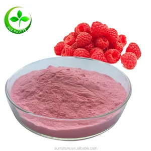 Hot sale 100% natural raspberry juice powder