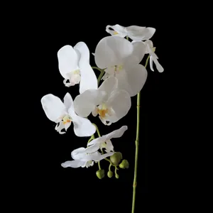 Pétalo de látex con pantalla impresa, orquídea Artificial, orquídea, Phalaenopsis para Decoración