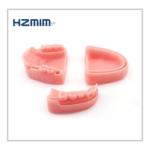 Modèle anatomique dentaire humain, coussin d'entraînement dentaire pour la pratique de la suture, en PVC et silicone - Product Image 4