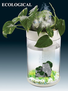 China Lage Prijs Milieuvriendelijke Acryl <span class=keywords><strong>Aquarium</strong></span> <span class=keywords><strong>Aquarium</strong></span> - Product Image 6