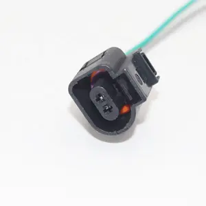 Automotive Elektrische Harness Plug Connector 2 Pin Voor Vw