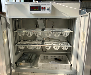 Bonne qualité automatique 48 oeufs d'autruche incubateur thaïlande œufs d'autruche - Product Image 6