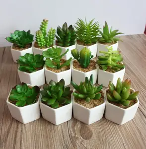 Atacado Decorativo Pequeno Geométrica Faux Suculentas Artificial Vasos de Plantas