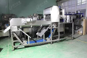 Leadworld Fruit Peeling <strong>Machine</strong> <strong>Orange</strong> Peeler <strong>Machine</strong> - Product Image 6