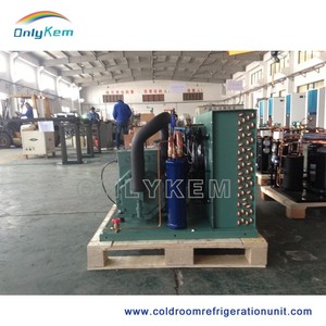 <span class=keywords><strong>3</strong></span>/4/5/6P đầy đủ các đơn vị ngưng tụ điện lạnh thương mại để đi bộ trong phòng lạnh hoàn chỉnh - Product Image 5