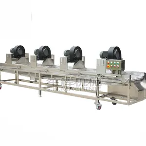 linha de produção de secagem de aipo automático de folhas finas Escolha livre de ar quente e secadores de ar de frutas frias com ruibarbo