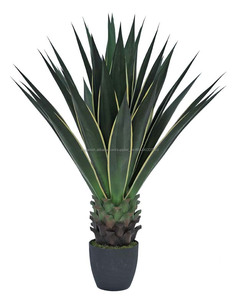 Barato artificial plantas de ornamentación vivir <span class=keywords><strong>del</strong></span> aire interior árboles bonsai artificial planta de <span class=keywords><strong>agave</strong></span> - Product Image 6