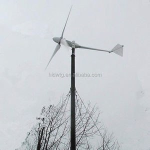 영구 자석 발전기를 가진 자유로운 에너지 발전기 1kw 바람 발전기 세트 - Product Image 1