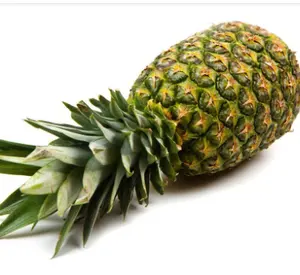 factory offer canned pineapple fruit processing machinery