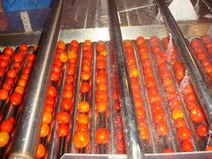 Ligne de production de la confiture de fruits, pour les pommes et les tomates, traitement de la pâte, m - Product Image 2