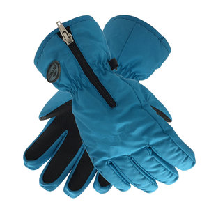 Highcamp <span class=keywords><strong>3M</strong></span> <span class=keywords><strong>Thinsulate</strong></span> Isolation Thermique Coupe-Vent Gants de Ski Imperméables - Product Image 2