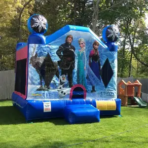 Beku Bounce House Inflatable PVC Jumping Puri untuk Waktu Yang Menyenangkan