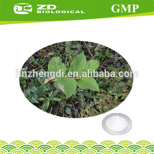 el resveratrol en polvo extracto de polygonum cuspidatum - Product Image 1