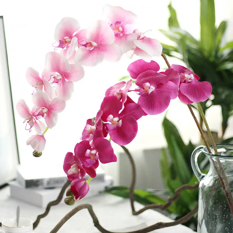 Promoção de portuguese, Compras Online de portuguese Promocionais -  orquídeas borracha.alibaba.com