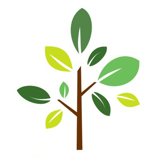 Shijiazhuang Tulip Tree Business Co., Limited logo
