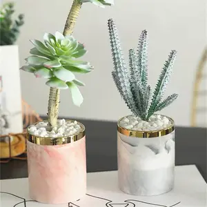 Cylinder Shape Custom Logo Garden Home Decorative Mini Ceramic Succulent Pots For Wedding