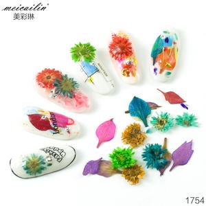 12 couleurs 3D Nail Art décoration vraie fleur séchée sèche - Product Image 3