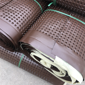 플라스틱 배수 Board/딤플 장 대 한 배수/딤플 배수 셀 Brown color 날의 고밀도 폴 리 배수 board - Product Image 1