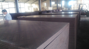 contrachapado recubierto con película El contrachapado estándar de abedul revestido con una película fenólica o una película <span class=keywords><strong>re</strong></span> - Product Image 2