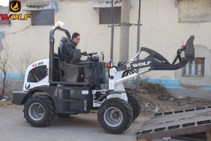 <span class=keywords><strong>Wolf</strong></span> WL80 Hzm <span class=keywords><strong>Loader</strong></span> มินิ Radlader สำหรับขาย - Product Image 5