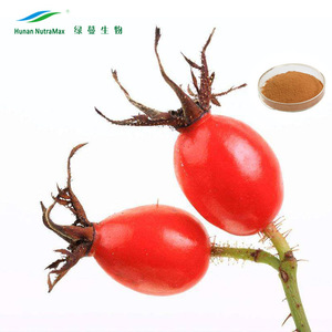 Natural orgánica Rosa canina extracto de fruta escaramujos extracto en polvo (ratio: 4:1 5:1 10:1) - Product Image 3