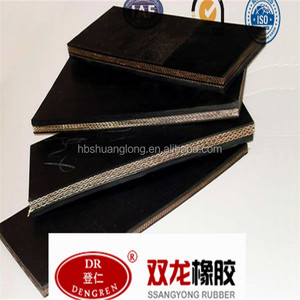 Ý nghĩa của vật liệu băng tải kim cương glosy chịu nhiệt EP 600mm rộng để bán với giấy chứng nhận CE - Product Image 2