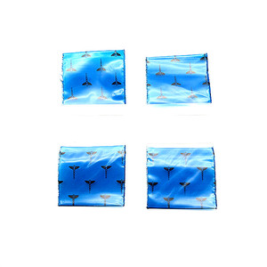 Chine Vente en gros Sac en plastique LDPE à fermeture éclair <span class=keywords><strong>pas</strong></span> <span class=keywords><strong>cher</strong></span> 1010 Mini sac à pommes - Product Image 5
