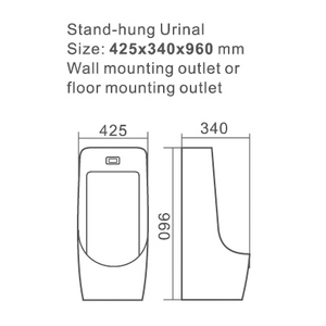 Urinario femenino de cerámica de pie de montaje en pared posterior - Product Image 2