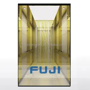 Elevator Lift Factory FUJI Brand Gold Elevator Lift Price In China